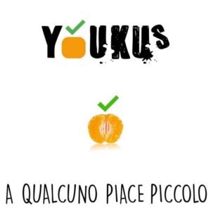 A qualcuno piace piccolo, brano di esordio di Youkus, i virtuosismi dell'ukulele editi da FlipperMusic