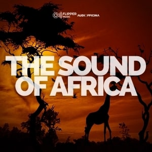 The Sound Of Africa playlist