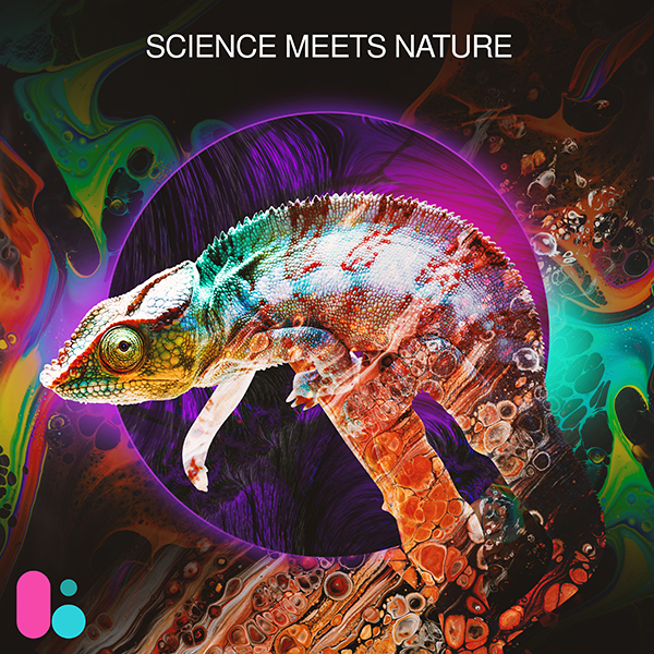 Science Meets Nature, dal catalogo del mese Flippermusic, Lightsong Production Music